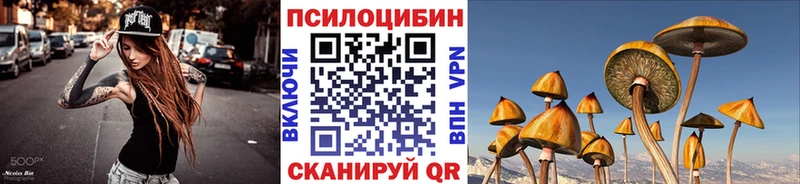 omg как войти  Зея  Псилоцибиновые грибы прущие грибы 